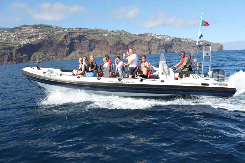 From Funchal: Whales and Dolphin Adventure Tour - Why this Funchal boat trip feels different