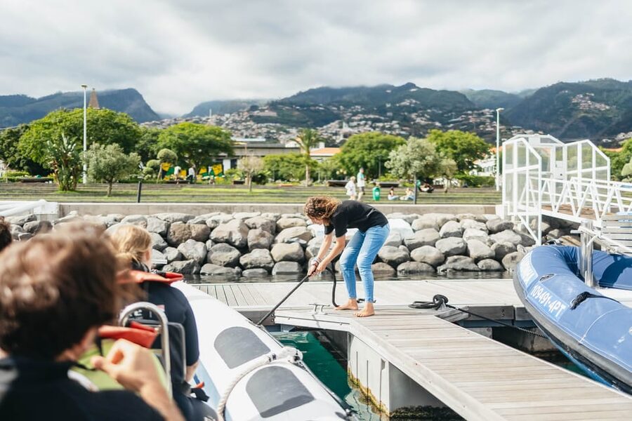 From Funchal: Whales and Dolphin Adventure Tour - Two hours among Madeira’s Atlantic wildlife
