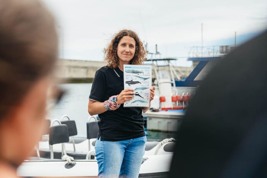 From Funchal: Whales and Dolphin Adventure Tour - The price and what you receive for $58