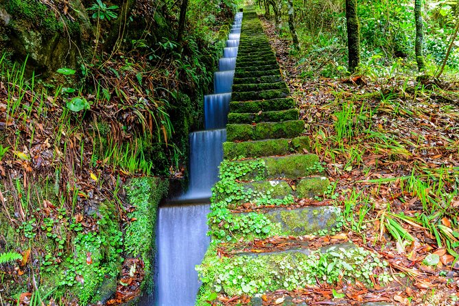 Full Day East of Madeira Tour - Ribeiro Frio and the Balcões viewpoint