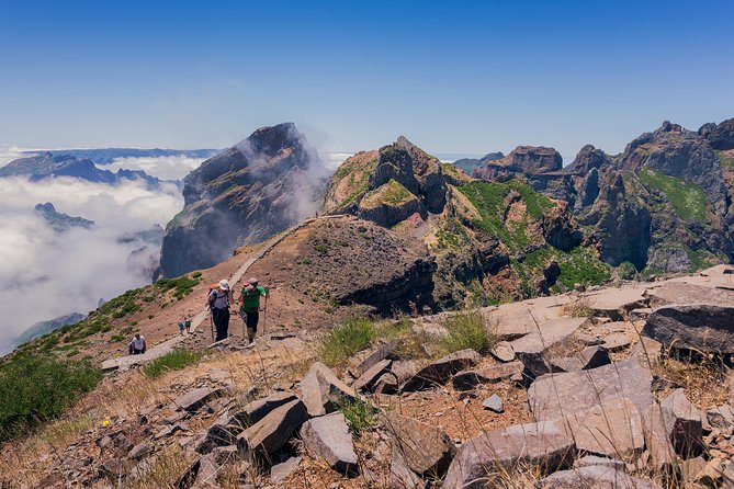 Full Day East of Madeira Tour - Portela, Santo da Serra, and open rural views
