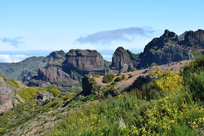 Full Day Jeep Safari East - Pico do Areeiro - Santana - Ponta de são Lourenço - Santana: lunch, thatched houses, and a useful pause