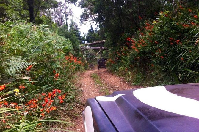 Full-Day Jeep Safari West: Fanal, Porto Moniz, Seixal, Cabo Girão - Why this Jeep safari works well for a first day in Madeira
