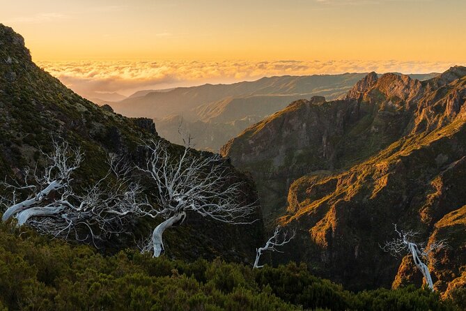 Full Day Madeira Island Tour - Open Roof - Poca das Lesmas and Madeira’s volcanic rock