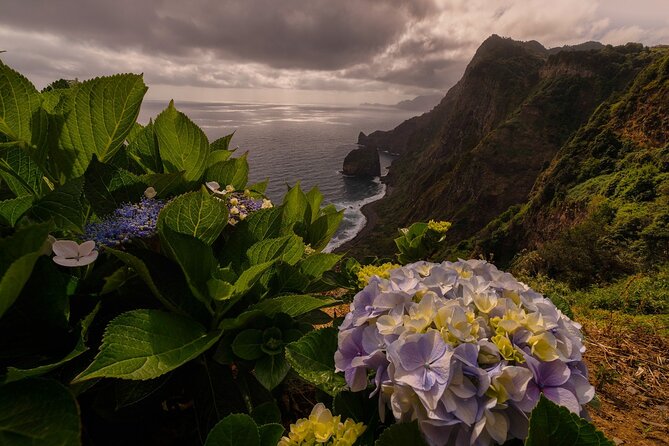 Full Day Madeira Island Tour - Open Roof - Ribeira da Janela and the road inland