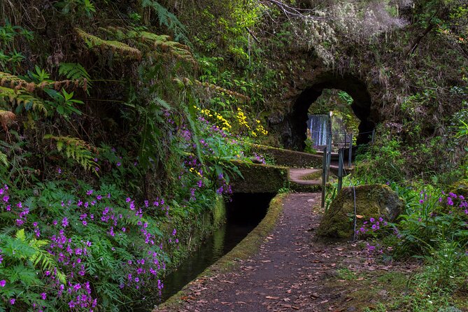 Full Day of Wonders: Madeira 4x4 Private Tour - How much value do you get for $332.58?