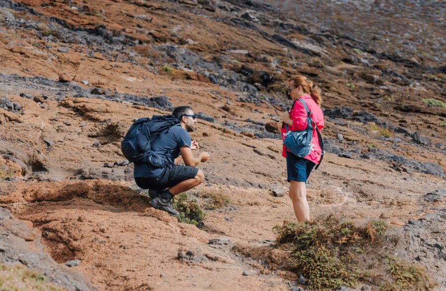 Full Day Ponta de São Lourenço - Natural Reserve - How difficult is the 3.5-hour hike?