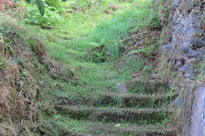 Full Day Private 4x4 Adventure in Madeira - Pico do Arieiro and Ribeiro Frio