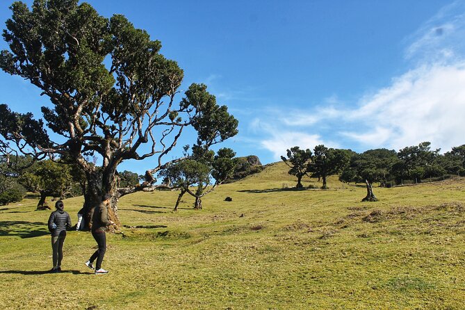 Full Day Private 4x4 Tour in West Madeira with Local Guide - São Vicente and the north coast’s old wine country