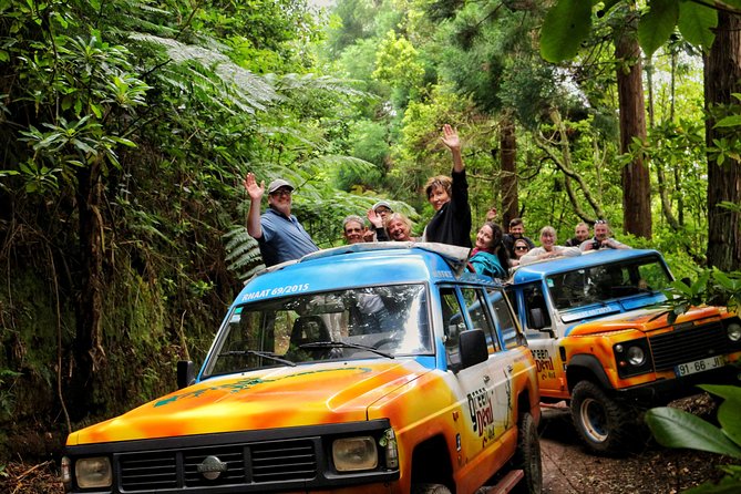 Full Day Private 4x4 Tour in West Madeira with Local Guide - Levada paths and Laurissilva forest