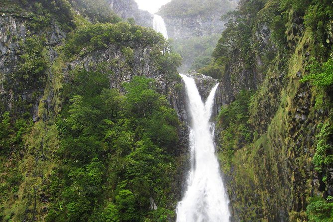 Full-Day Rabaçal Levada Walk from Funchal - Why this levada walk is worth your day