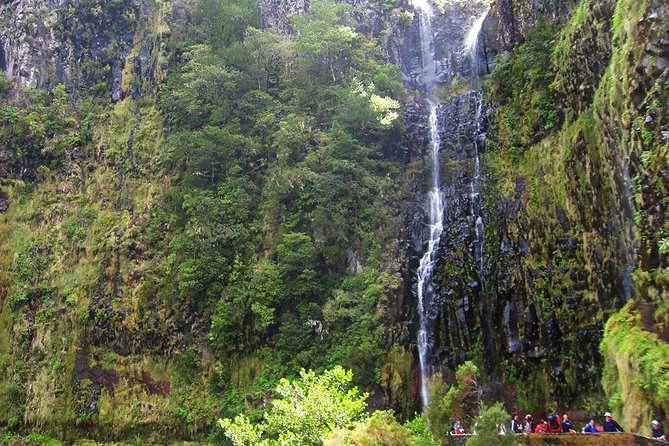 Full-Day Rabaçal Levada Walk from Funchal - From Funchal to the Paul da Serra plateau