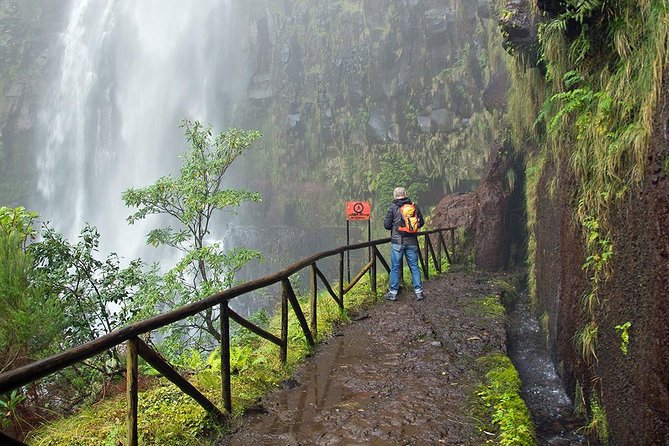 Full-Day Rabaçal Levada Walk from Funchal - The 25 Fontes pool is the big payoff