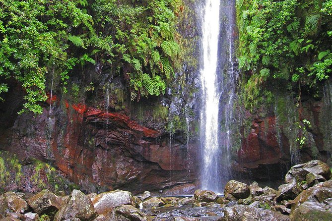 Full-Day Rabaçal Levada Walk from Funchal - What the guide adds to the day