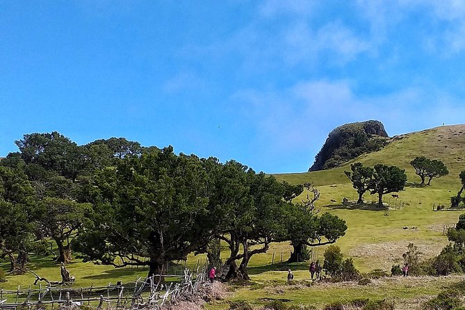 Full-Day Small Group Jeep Safari Tour from Funchal - What to pack and plan for