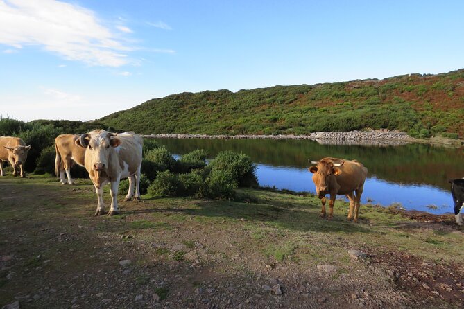 Full Day Tour in 4x4 Jeep to Porto Moniz and Fanal - Porto Moniz: the main swimming stop