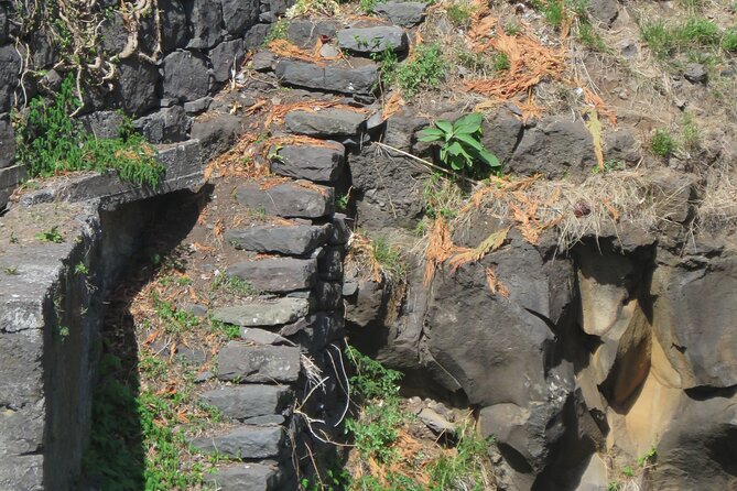 Full Day Tour in 4x4 Jeep to Porto Moniz and Fanal - São Vicente and a final look at Madeira’s north
