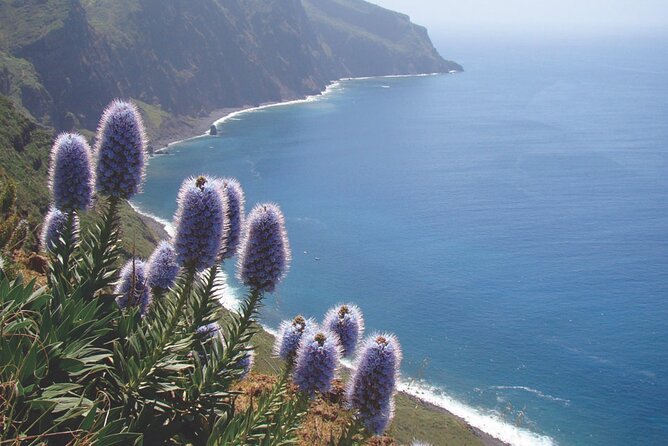 Full Day Tour of the West Zone of Madeira - Seven hours means choosing your priorities