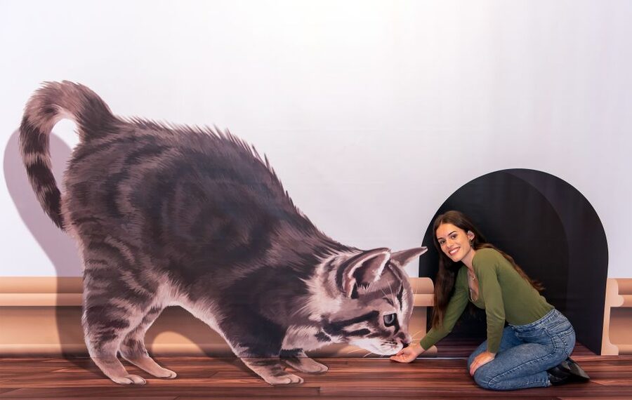 Funchal: 3D Fun Art Museum - Is $12 good value?