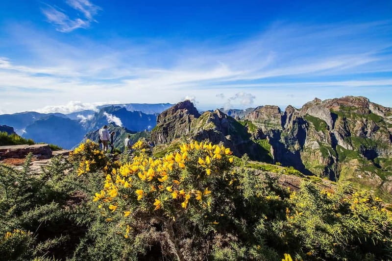 Funchal: 4x4 Jeep Trip to the East and Northeast of Madeira - Key points at a glance