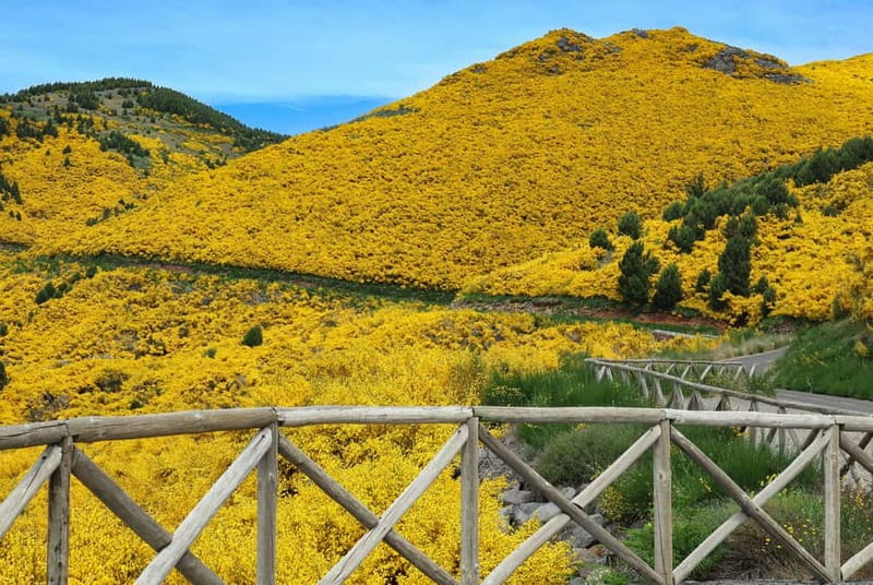 Funchal: 4x4 Jeep Trip to the East and Northeast of Madeira - The guides are a major part of the experience