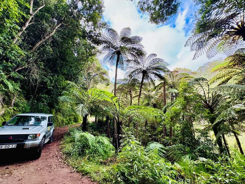 Funchal: 4x4 Jeep Trip to the East and Northeast of Madeira - From Funchal to the Paredão viewpoint