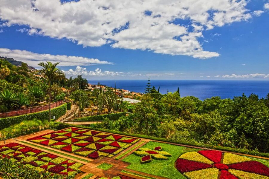 Funchal: Botanical Garden and Old Town Private Tuk-Tuk Tour - Why a tuk-tuk works so well in Funchal