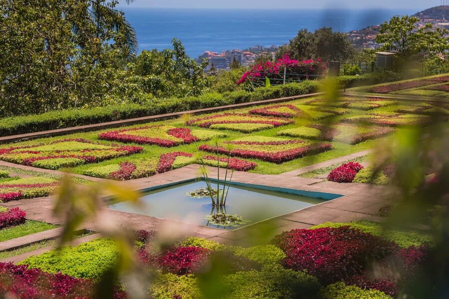 Funchal: Botanical Garden and Old Town Private Tuk-Tuk Tour - The uphill route to Madeira Botanical Garden