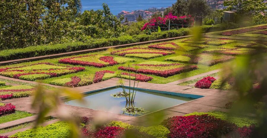 Funchal: Botanical Garden and Old Town Private Tuk-Tuk Tour - Starting in Zona Velha, Funchal’s oldest-feeling quarter