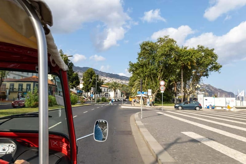 Funchal: Botanical Garden & Old Town Tour by TukTuk (1h45) - Key points to know before booking