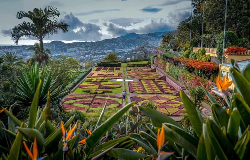 Funchal: Botanical Garden & Old Town Tour by TukTuk (1h45) - What this 105-minute Funchal tour actually covers