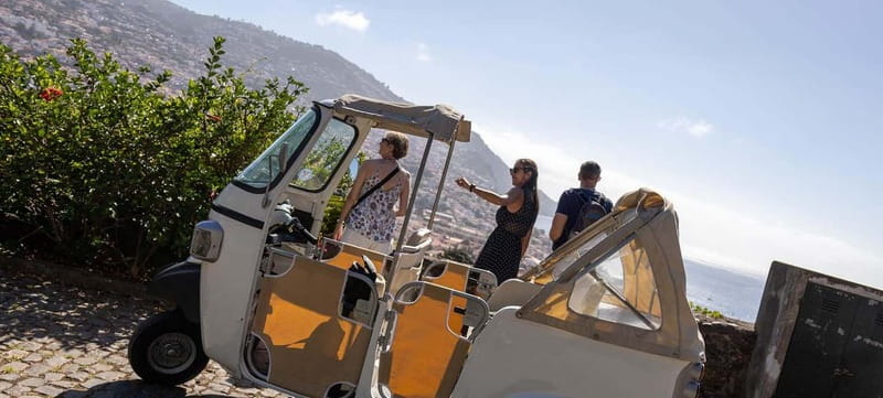 Funchal: Botanical Garden & Old Town Tour by TukTuk (1h45) - Should you book the Botanical Garden and Old Town tour?