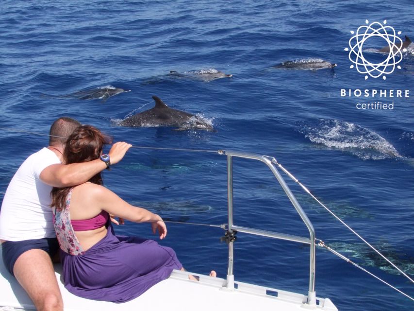 Funchal: Cabo Girão, Wines Tasting and Dolphins Watching - Boca da Corrida and the mountain viewpoints