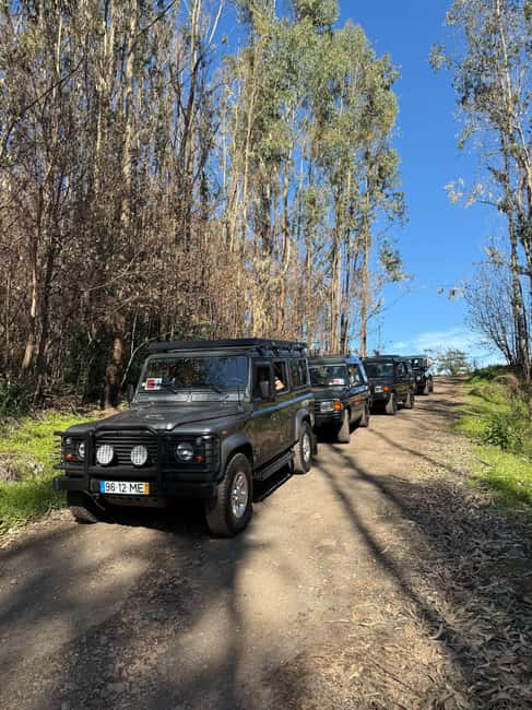 Funchal: Câmara Lobos & Girão Sea Cliff Half-Day Jeep Tour - Guides, vehicles, and the feel of the trip
