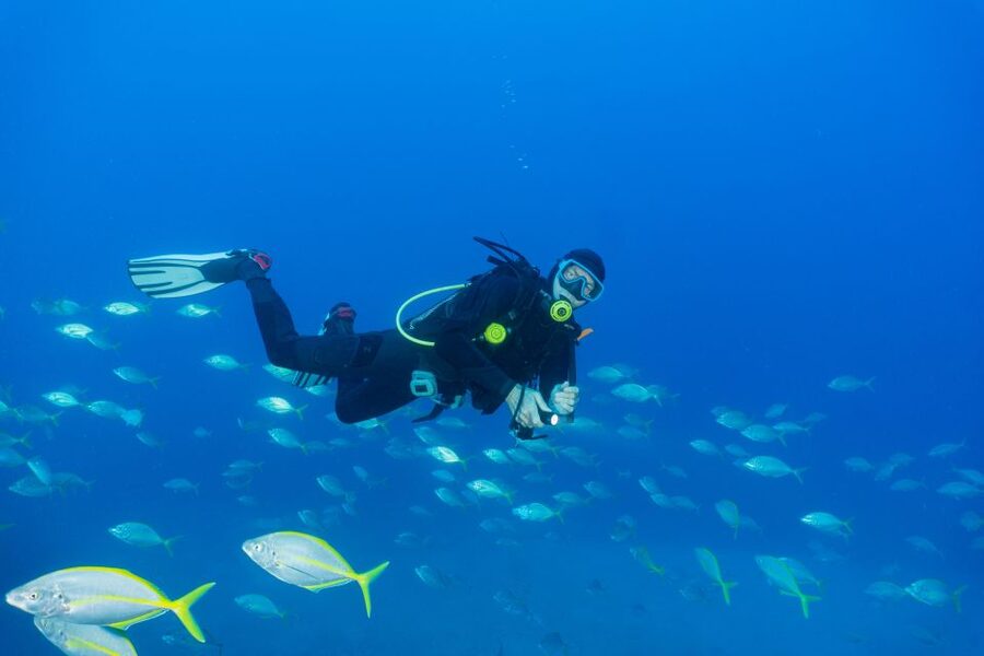 Funchal: Certified Scuba Diving, Guided Tour - Who Will Get the Most From This Experience