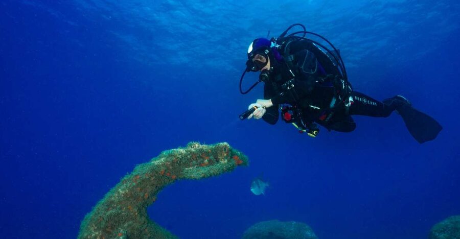 Funchal: Certified Scuba Diving, Guided Tour - Timing, Cancellation, and Practical Preparation