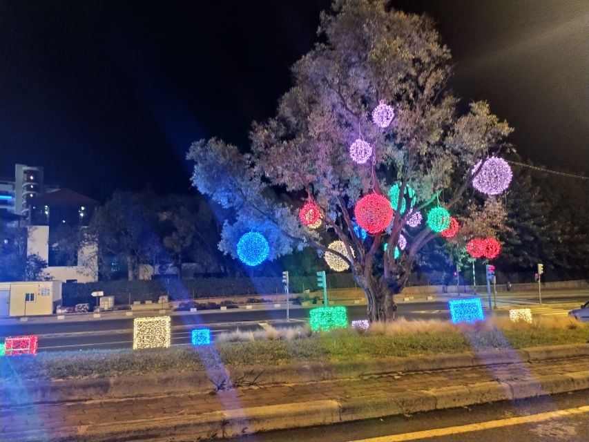 Funchal: Christmas Lights Sightseeing Night Tour - Who will enjoy this ride most?