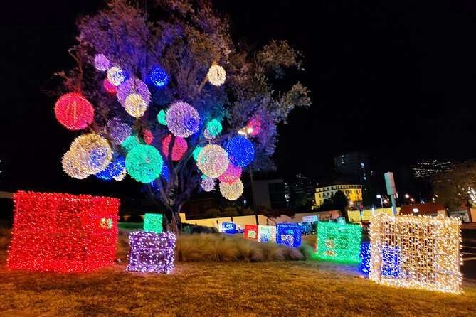 Funchal Christmas lights sightseeing night tour - Is $42.24 good value?