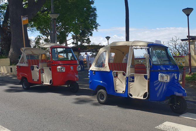 Funchal City Tour + Old Town - Finishing at Barreirinha