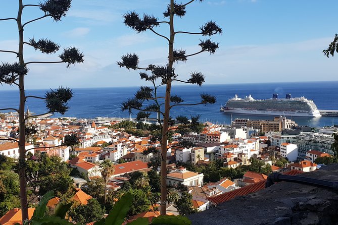 Funchal City Tour + Old Town - Guides who make the short ride count