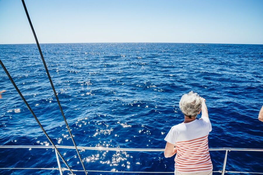 Funchal: Dolphin and Whale Watching by Luxury Catamaran - Key points to know before you book