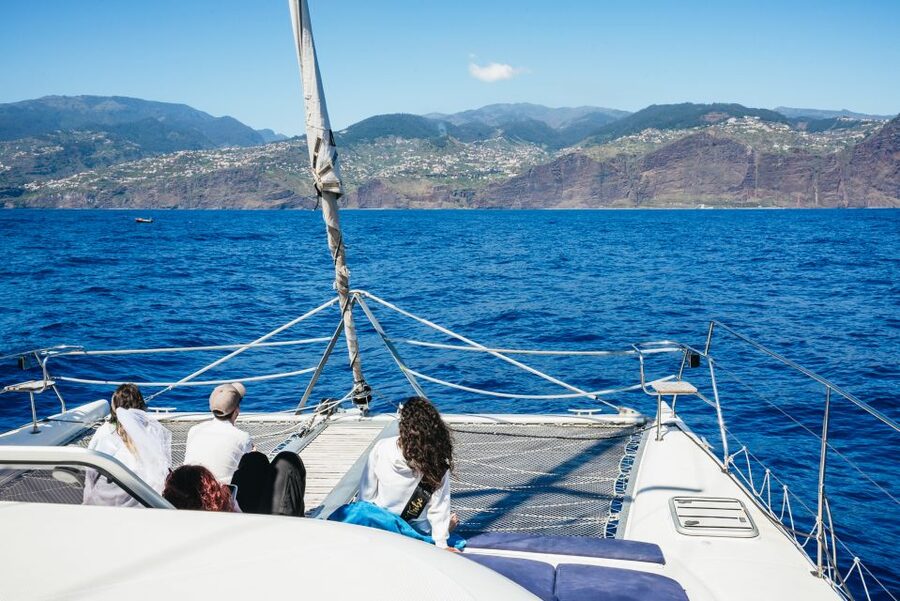 Funchal: Dolphin and Whale Watching by Luxury Catamaran - Practical tips for a better morning or afternoon