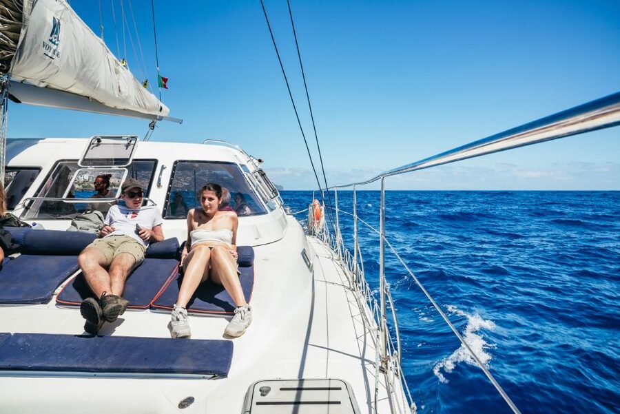 Funchal: Dolphin and Whale Watching by Luxury Catamaran - Searching for dolphins, whales, and other sea life