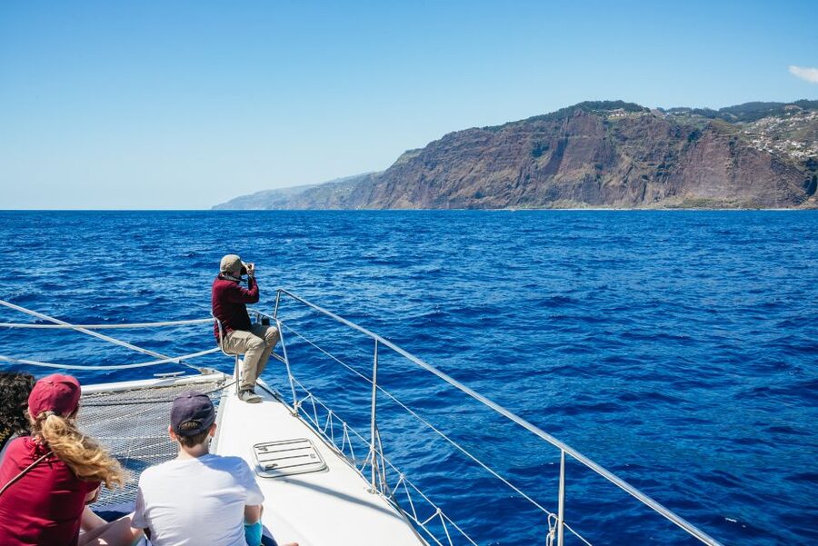 Funchal: Dolphin and Whale Watching by Luxury Catamaran - Cabo Girão is more than a photo stop