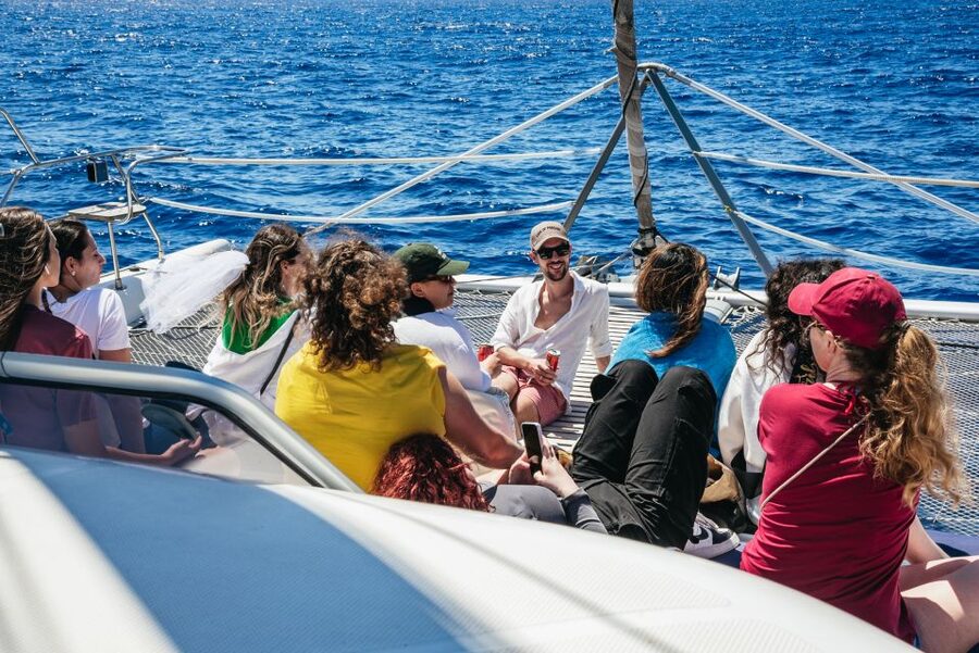 Funchal: Dolphin and Whale Watching by Luxury Catamaran - The return cruise along Madeira’s coast