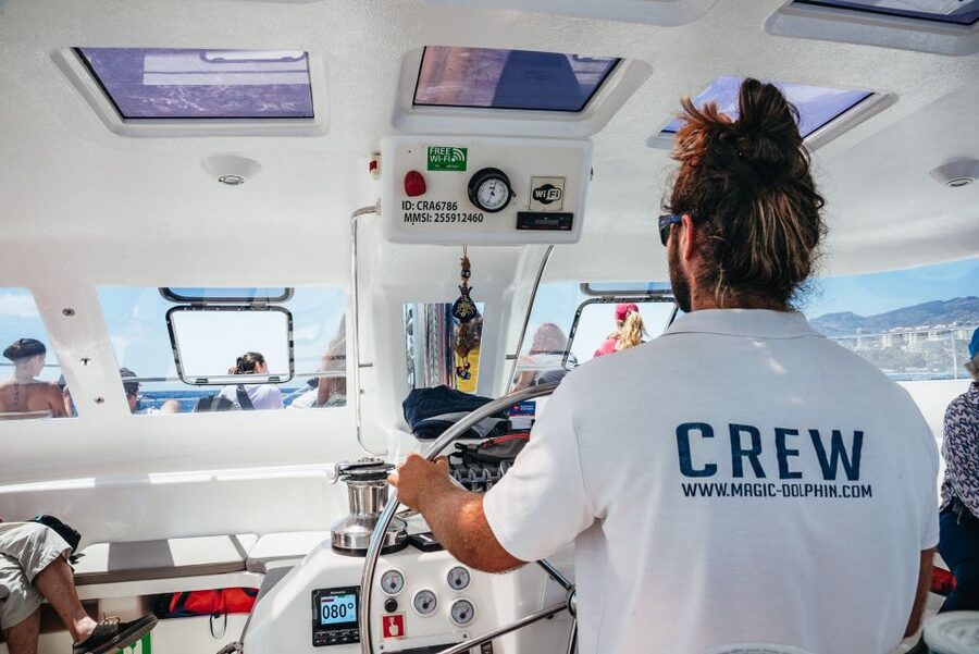 Funchal: Dolphin and Whale Watching by Luxury Catamaran - Comfort, group size, and who will enjoy it most
