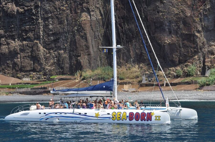 Funchal: Dolphin and Whale Watching Catamaran Cruise - Should you book Catamaran Seaborn?