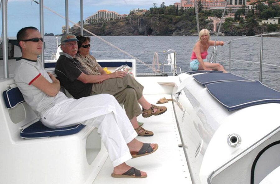 Funchal: Dolphin and Whale Watching Catamaran Cruise - A responsible approach to wild animals