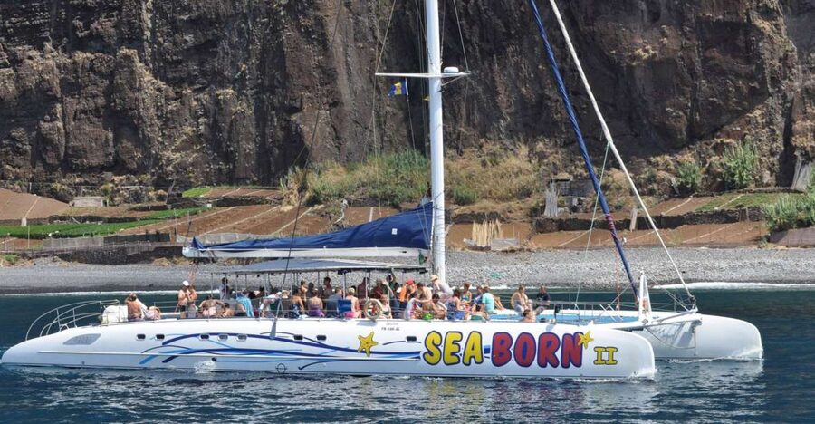 Funchal: Dolphin and Whale Watching Catamaran Cruise - What the $41 price really covers