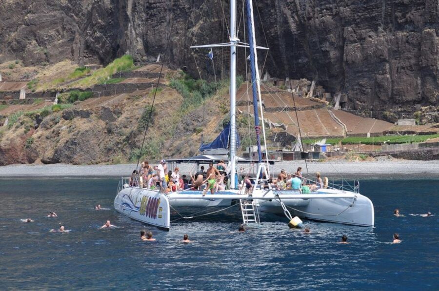 Funchal: Dolphin and Whale Watching Catamaran Cruise - Timing, check-in, and simple ways to prepare